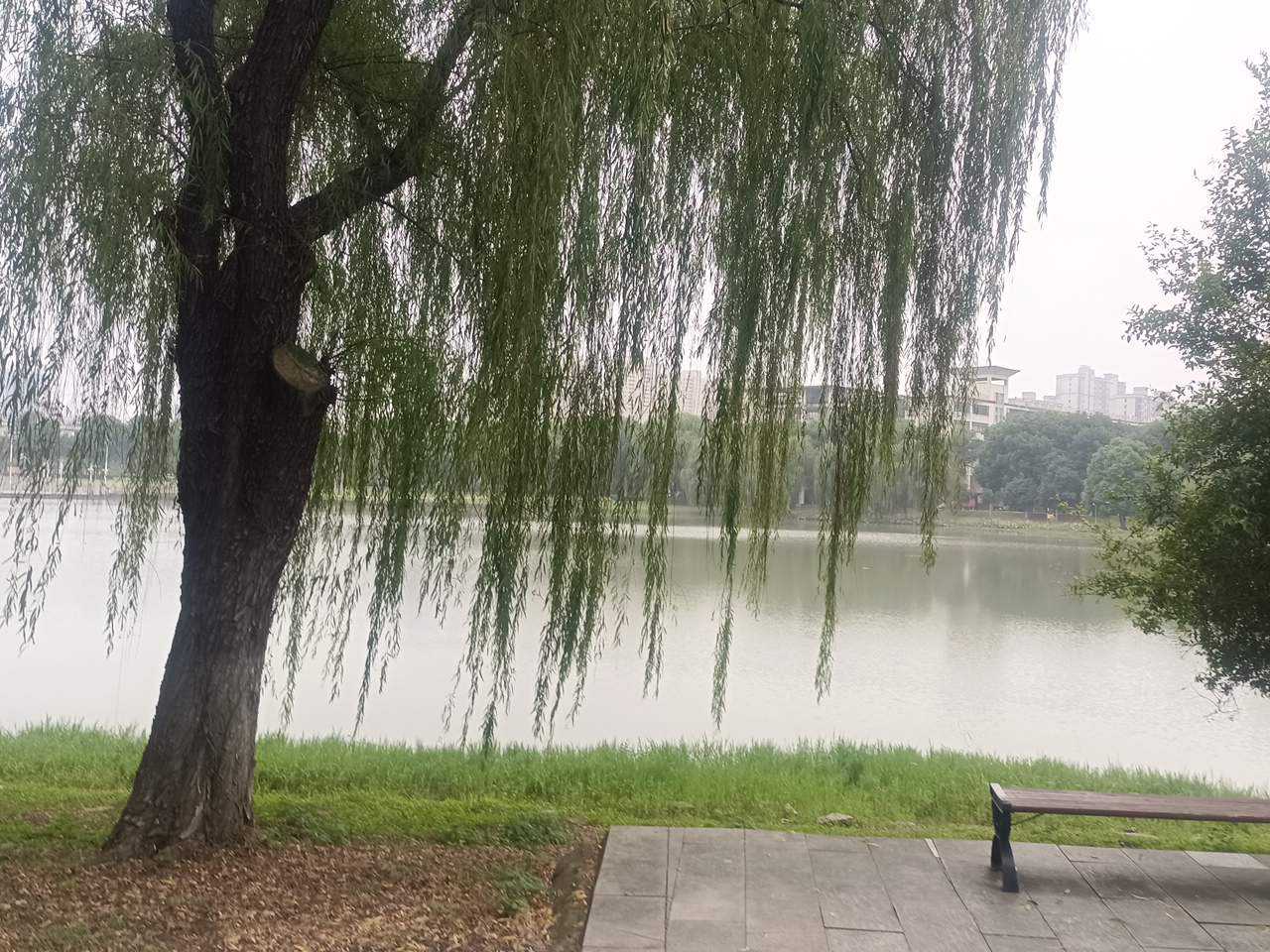 文理学院的湖边